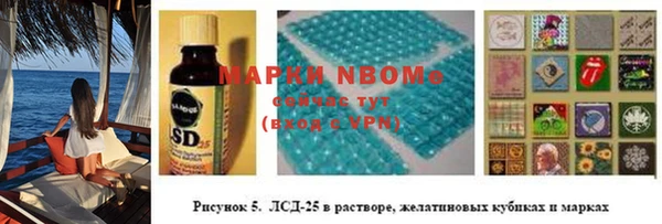 сатива Вяземский