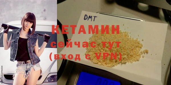 сатива Вяземский