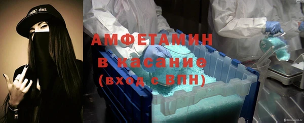 сатива Вяземский