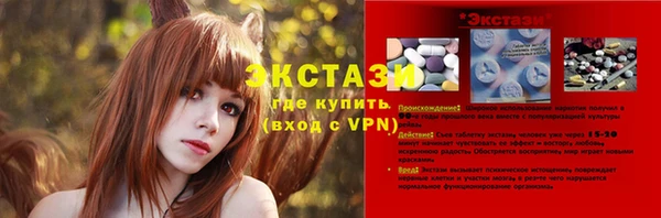 гидра Туринск