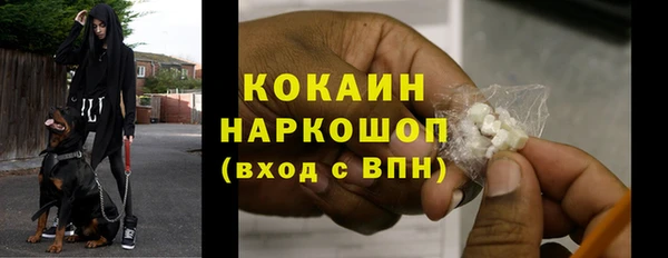 сатива Вяземский