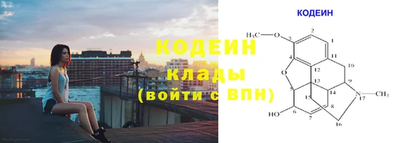 сатива Вяземский