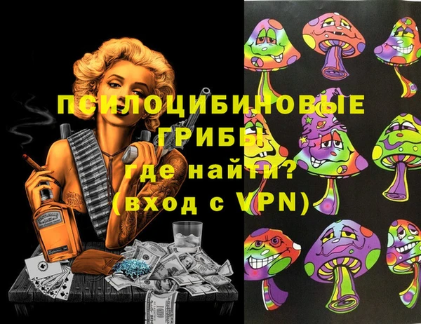 крисы Тында