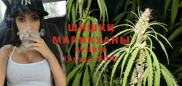 сатива Вяземский