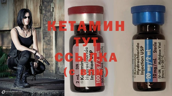 сатива Вяземский