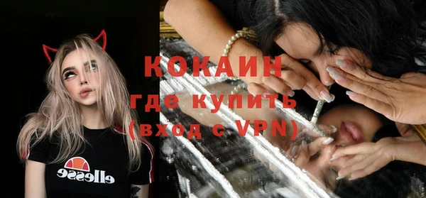 сатива Вяземский