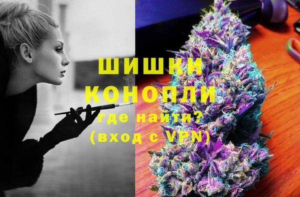 сатива Вяземский