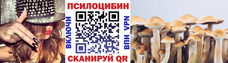 Псилоцибиновые грибы Cubensis  Мещовск 